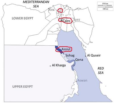 Pre- and in-hospital delays in the use of thrombolytic therapy for patients with acute ischemic stroke in rural and urban Egypt